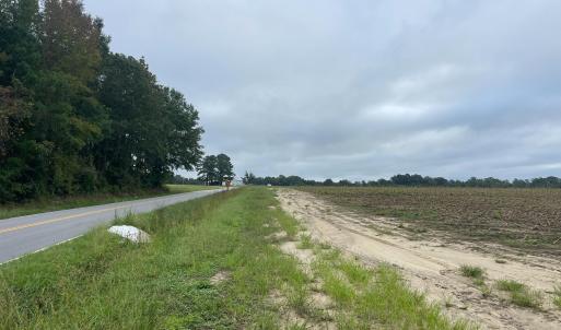 Photo #4 of Huckleberry, Lucama, NC 182.0 acres