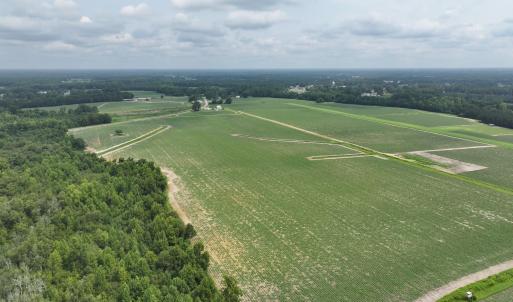 Photo #7 of Huckleberry, Lucama, NC 182.0 acres