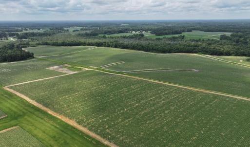 Photo #12 of Huckleberry, Lucama, NC 182.0 acres