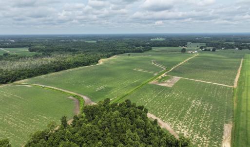 Photo #10 of Huckleberry, Lucama, NC 182.0 acres