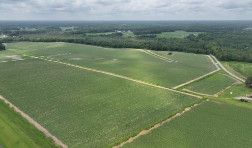 Photo #14 of Huckleberry, Lucama, NC 182.0 acres