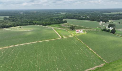Photo #11 of Huckleberry, Lucama, NC 182.0 acres