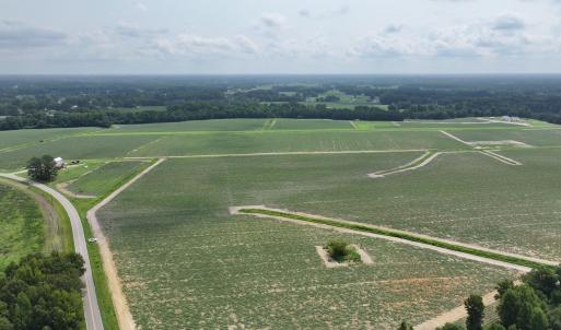 Photo #6 of Huckleberry, Lucama, NC 182.0 acres