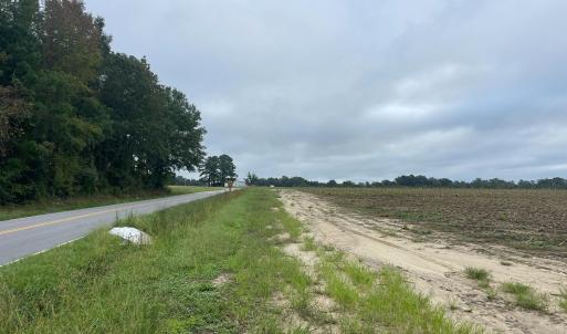 Photo #4 of Huckleberry, Lucama, NC 182.0 acres