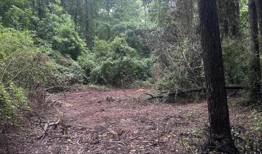Photo #7 of 844 Sweet Raspberry, Lillington, NC 17.4 acres