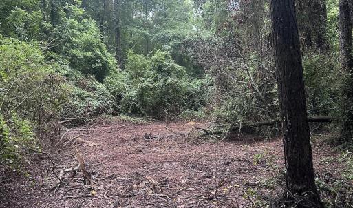 Photo #13 of 844 Sweet Raspberry, Lillington, NC 17.4 acres