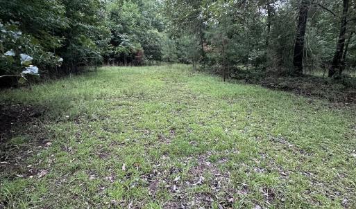 Photo #5 of 844 Sweet Raspberry, Lillington, NC 17.4 acres