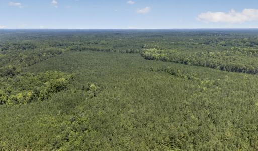 Photo #18 of 82 Acres Point Caswell Rd, Atkinson, NC 82.0 acres