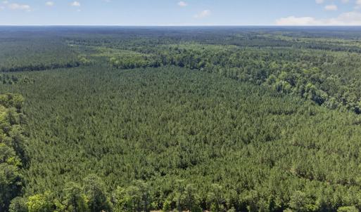 Photo #26 of 82 Acres Point Caswell Rd, Atkinson, NC 82.0 acres