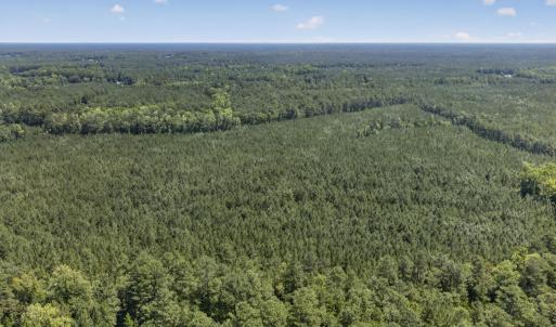 Photo #15 of 82 Acres Point Caswell Rd, Atkinson, NC 82.0 acres