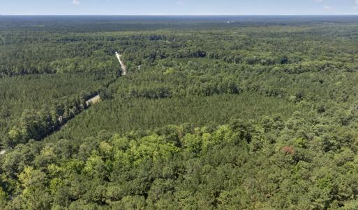 Photo #7 of 82 Acres Point Caswell Rd, Atkinson, NC 82.0 acres