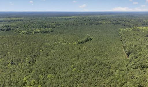 Photo #20 of 82 Acres Point Caswell Rd, Atkinson, NC 82.0 acres