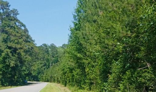 Photo #1 of 82 Acres Point Caswell Rd, Atkinson, NC 82.0 acres