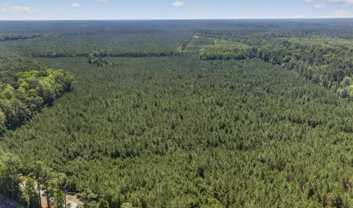 Photo #27 of 82 Acres Point Caswell Rd, Atkinson, NC 82.0 acres