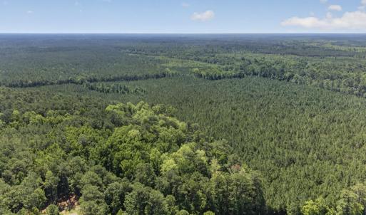 Photo #25 of 82 Acres Point Caswell Rd, Atkinson, NC 82.0 acres