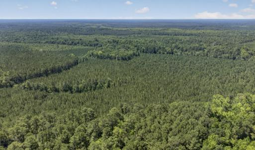 Photo #22 of 82 Acres Point Caswell Rd, Atkinson, NC 82.0 acres