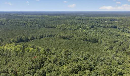 Photo #8 of 82 Acres Point Caswell Rd, Atkinson, NC 82.0 acres