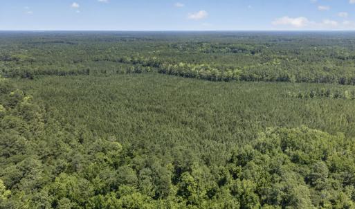 Photo #16 of 82 Acres Point Caswell Rd, Atkinson, NC 82.0 acres