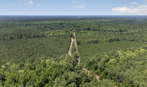 Photo #23 of 82 Acres Point Caswell Rd, Atkinson, NC 82.0 acres