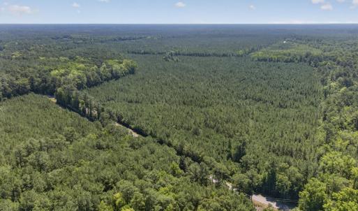 Photo #12 of 82 Acres Point Caswell Rd, Atkinson, NC 82.0 acres