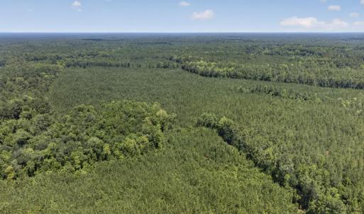 Photo #17 of 82 Acres Point Caswell Rd, Atkinson, NC 82.0 acres