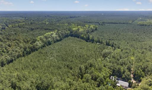 Photo #11 of 82 Acres Point Caswell Rd, Atkinson, NC 82.0 acres