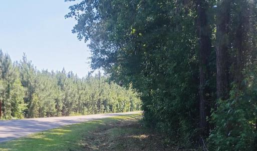 Photo #3 of 82 Acres Point Caswell Rd, Atkinson, NC 82.0 acres