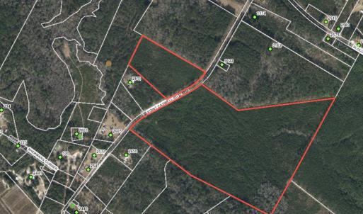 Photo #6 of 82 Acres Point Caswell Rd, Atkinson, NC 82.0 acres