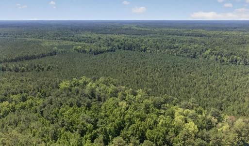 Photo #24 of 82 Acres Point Caswell Rd, Atkinson, NC 82.0 acres