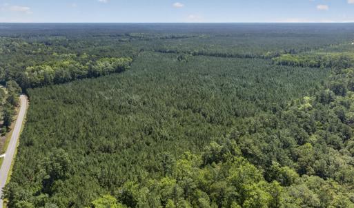 Photo #13 of 82 Acres Point Caswell Rd, Atkinson, NC 82.0 acres