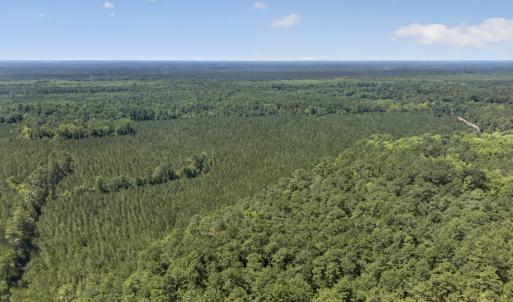 Photo #21 of 82 Acres Point Caswell Rd, Atkinson, NC 82.0 acres