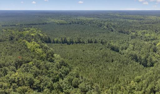 Photo #9 of 82 Acres Point Caswell Rd, Atkinson, NC 82.0 acres