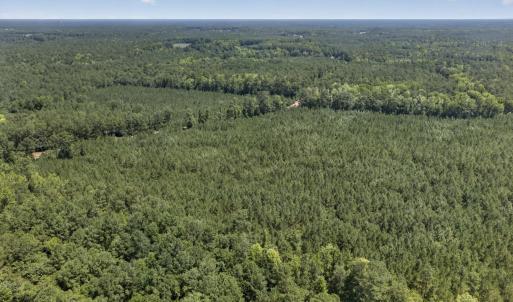 Photo #14 of 82 Acres Point Caswell Rd, Atkinson, NC 82.0 acres