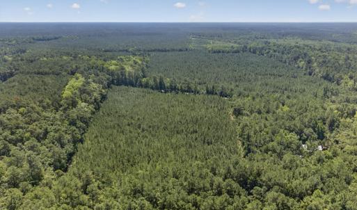 Photo #10 of 82 Acres Point Caswell Rd, Atkinson, NC 82.0 acres