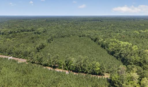 Photo #4 of 82 Acres Point Caswell Rd, Atkinson, NC 82.0 acres
