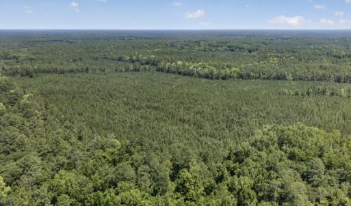 Photo #16 of 82 Acres Point Caswell Rd, Atkinson, NC 82.0 acres
