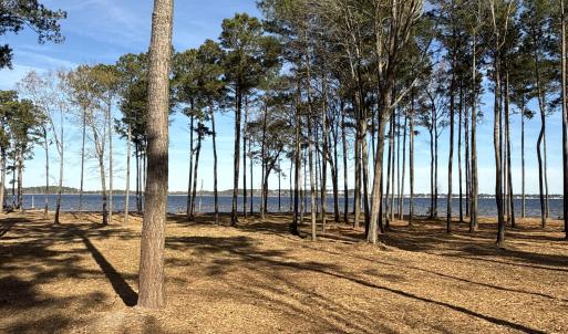 Photo #16 of Norfleet Shores, Belhaven, NC 112.0 acres
