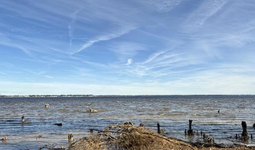 Photo #26 of Norfleet Shores, Belhaven, NC 112.0 acres