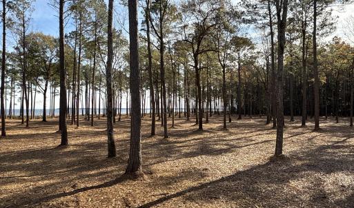 Photo #19 of Norfleet Shores, Belhaven, NC 112.0 acres