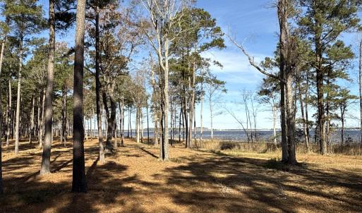 Photo #36 of Norfleet Shores, Belhaven, NC 112.0 acres