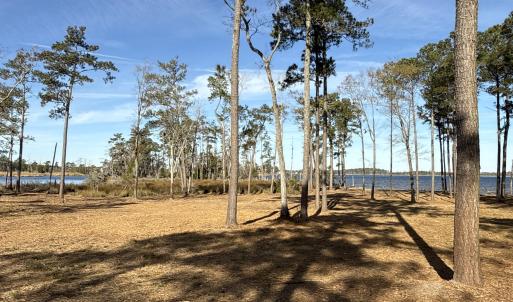 Photo #15 of Norfleet Shores, Belhaven, NC 112.0 acres