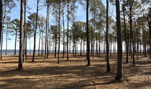 Photo #18 of Norfleet Shores, Belhaven, NC 112.0 acres