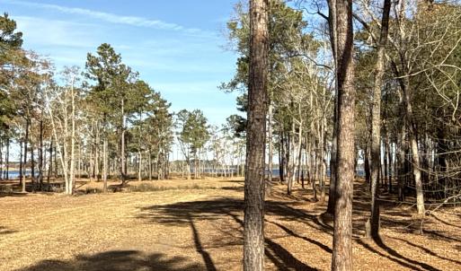 Photo #13 of Norfleet Shores, Belhaven, NC 112.0 acres