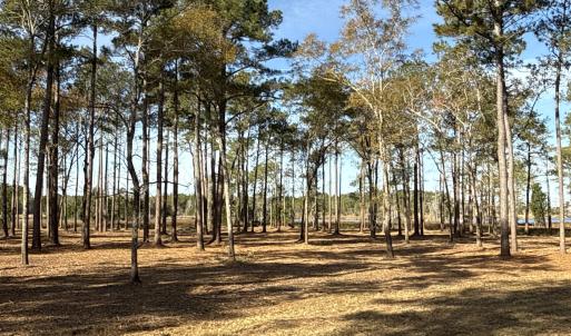 Photo #12 of Norfleet Shores, Belhaven, NC 112.0 acres