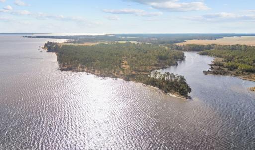 Photo #1 of Norfleet Shores, Belhaven, NC 112.0 acres