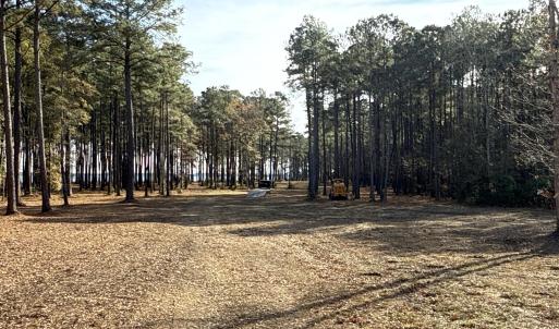 Photo #8 of Norfleet Shores, Belhaven, NC 112.0 acres
