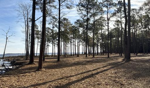 Photo #24 of Norfleet Shores, Belhaven, NC 112.0 acres