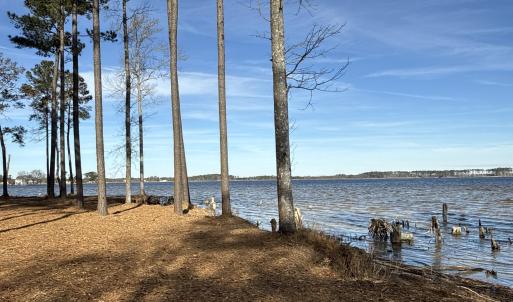 Photo #28 of Norfleet Shores, Belhaven, NC 112.0 acres