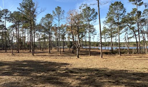 Photo #21 of Norfleet Shores, Belhaven, NC 112.0 acres