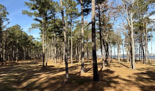 Photo #37 of Norfleet Shores, Belhaven, NC 112.0 acres